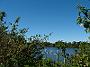 fish-coop-taree 018